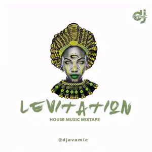 DJ Evamic - Levitation House ?Music ?Mixtape